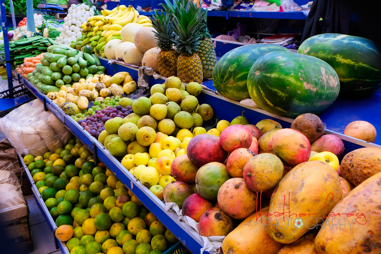 San Miguel de Allende | Mexico | 2013 | Part III Food and Markets ...